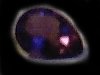 amshiny.jpg - 2029 Bytes