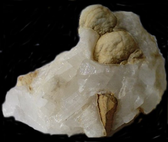 arag2.jpg - 31737 Bytes