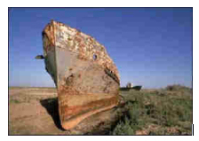 aral.jpg - 33206 Bytes