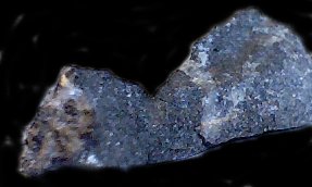 bariteark.jpg - 11912 Bytes