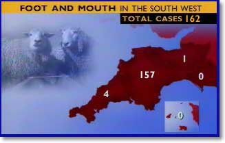 bbcf&m.jpg - 14992 Bytes