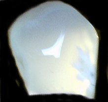 chalcedony2.jpg - 6470 Bytes