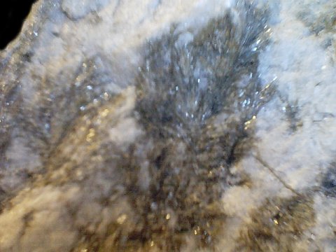 cummclose.jpg - 37143 Bytes