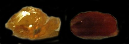fireopal.jpg - 9007 Bytes