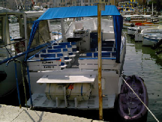 fmflipper.jpg - 37875 Bytes