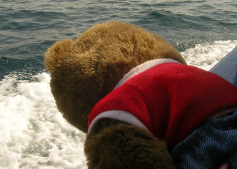 fmseasick.jpg - 31351 Bytes