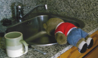 meanie's sick again
