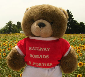 fmsunflowers.jpg - 37772 Bytes