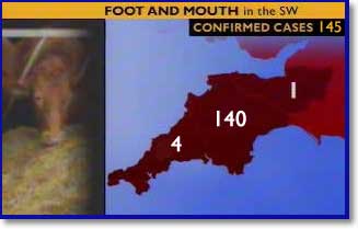 graphic_sw145.jpg - 9248 Bytes