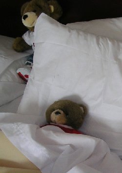 meanielabed.jpg - 13451 Bytes