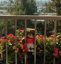 meanielarailing.jpg - 25708 Bytes