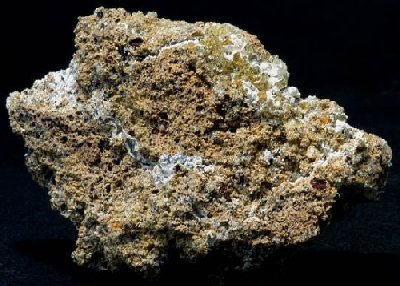 minapetite1.jpg - 40892 Bytes