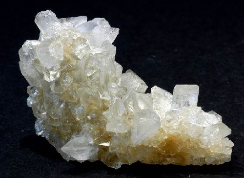 mincelestine1.jpg - 37128 Bytes