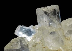 mincelestine2.jpg - 12681 Bytes