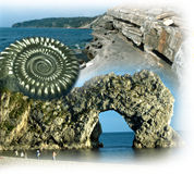 monty.jpg - 11629 Bytes