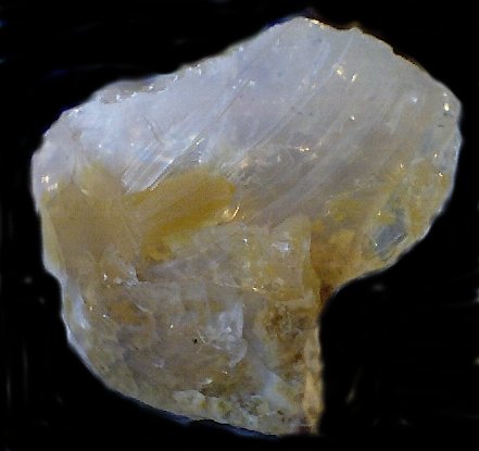 myopal2.jpg - 25405 Bytes