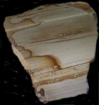 ojasper2.jpg - 33209 Bytes