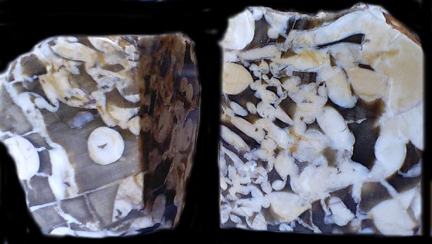 peanutfront.jpg - 51874 Bytes