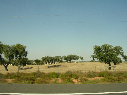 por102.jpg - 41507 Bytes