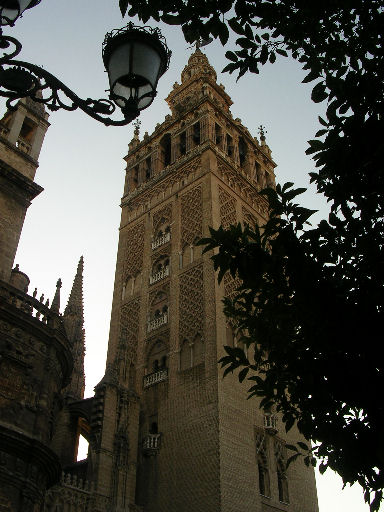 por137.jpg - 69856 Bytes