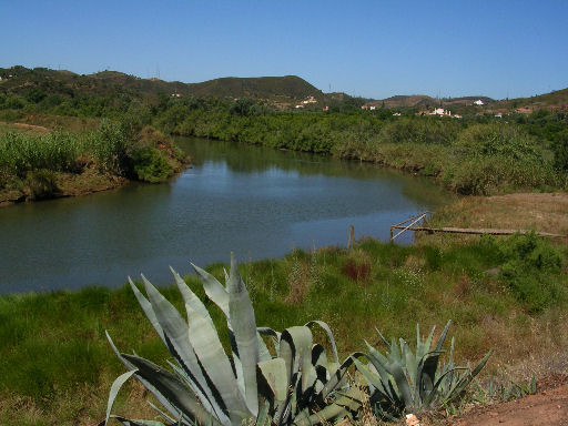 por14.jpg - 60674 Bytes