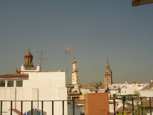 por141.jpg - 40551 Bytes