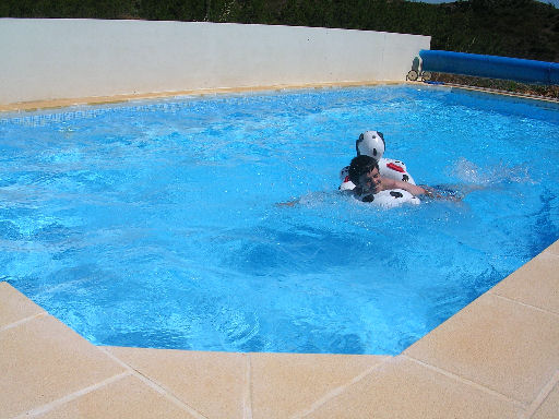 por17.jpg - 61318 Bytes