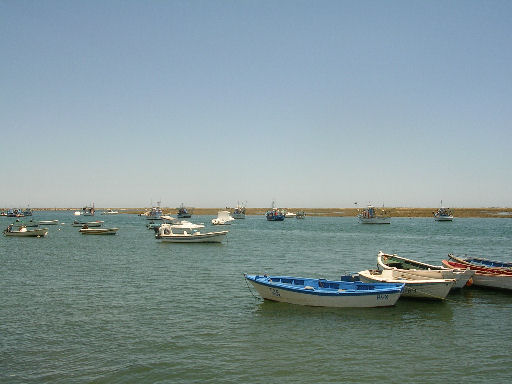 por174.jpg - 38524 Bytes