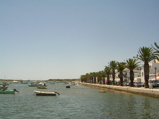 por175.jpg - 43543 Bytes