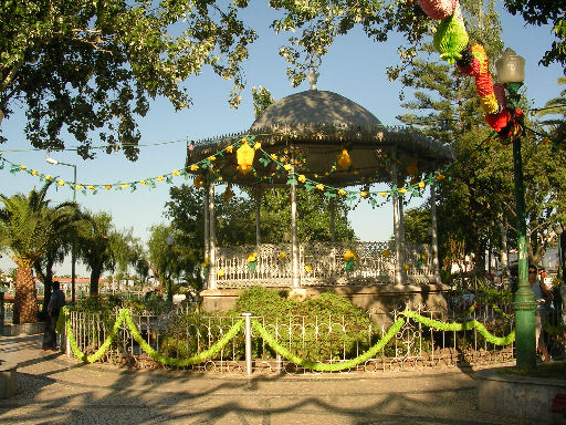 por186.jpg - 118160 Bytes