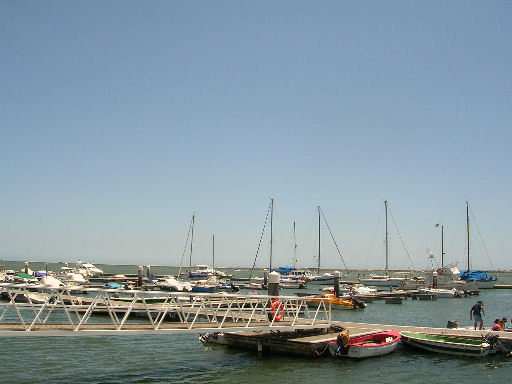 por201.jpg - 41893 Bytes