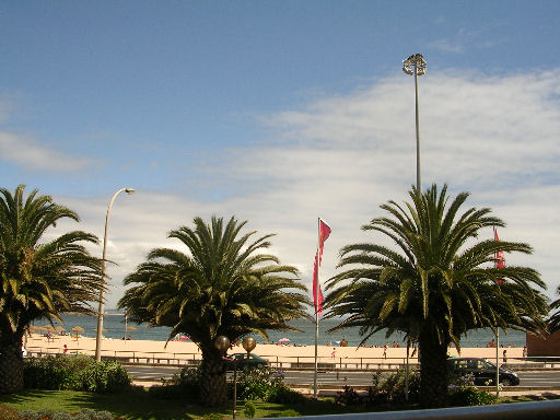 por58.jpg - 61333 Bytes