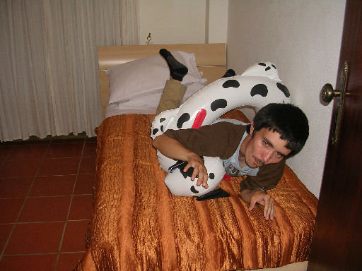 por8.jpg - 56813 Bytes