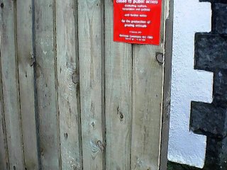 smdmf&mposter.jpg - 22183 Bytes