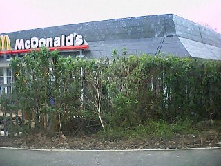 smdmmcdonalds.jpg - 26127 Bytes