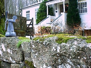 smdmpixieland1.jpg - 41226 Bytes