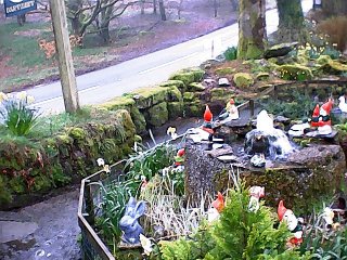 smdmpixieland2.jpg - 38052 Bytes