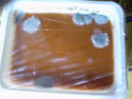 soup2.jpg - 10733 Bytes