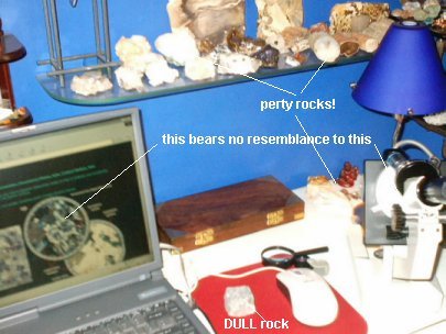 study.jpg - 34585 Bytes