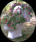 click for the Toilet Museum