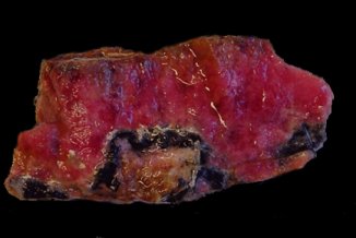 tug.jpg - 13346 Bytes