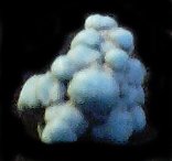 turquoisemex.jpg - 5011 Bytes