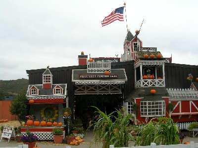 usaapumpkinfarmsm.jpg - 34465 Bytes