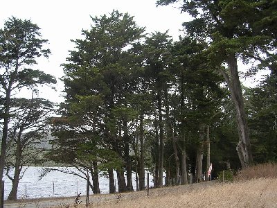 usaasanandreaslake.jpg - 54107 Bytes