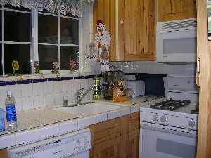 usabearkitchen.jpg - 21803 Bytes