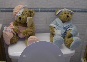 usabearstoilet.jpg - 14504 Bytes