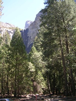 usabridalvail.jpg - 56184 Bytes