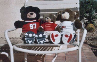 usacamelbackbears.jpg - 28568 Bytes