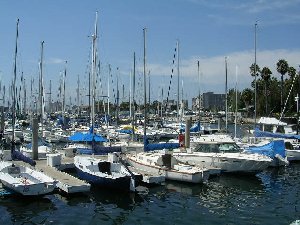 usamarindelrey.jpg - 24492 Bytes