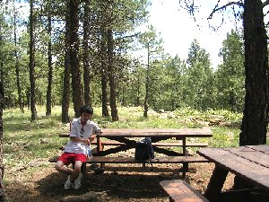 usamuseumpicnic.jpg - 36330 Bytes